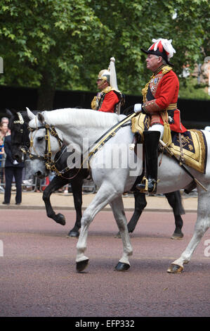 Die Trooping des Farben-Ions die Königin Geburtstag eines Londoner am meisten beliebte jährliche Festspiele Stockfoto