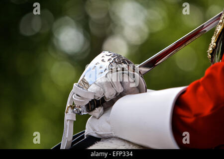 Die Trooping des Farben-Ions die Königin Geburtstag eines Londoner am meisten beliebte jährliche Festspiele Stockfoto