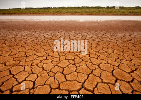 Rissige Erde in Sarigua Nationalpark (Wüste) in der Provinz Herrera, Republik von Panama. Stockfoto