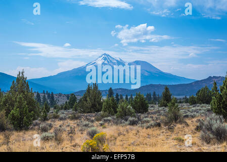 Ansicht des Mount Shasta. Siskiyou County, California, Vereinigte Staaten von Amerika. Stockfoto