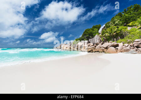 Perfekte weiße Strand Petite Anse in La Digue, Seychellen mit Granitfelsen und Palmen Stockfoto