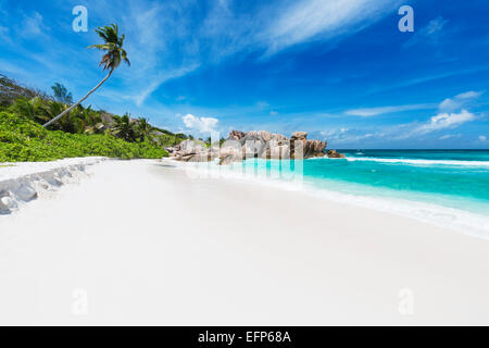 Kokosnuss Palmen und türkisfarbenes Wasser im Anse Cocos, La Digue, Seychellen Stockfoto