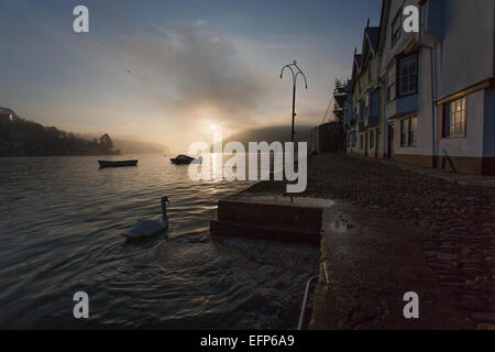 Stadt Dartmouth, England. Malerische Aussicht auf ein Schwan im Hafen angrenzend an der Dartmouth historische Bayard Bucht schwimmen. Stockfoto