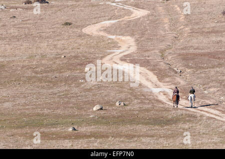 Befreien ein Pferd in Dehesa de Navalvillar, Colmenar Viejo, Madrid, Spanien. Stockfoto