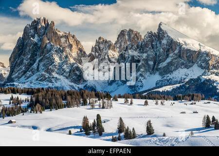 Landschaftlich reizvolle Winter Blick auf Seiser Alm Seiser mit Sassolungo Langkofel im Hintergrund, Dolomiten, Alto Adige Südtirol, Italien Stockfoto