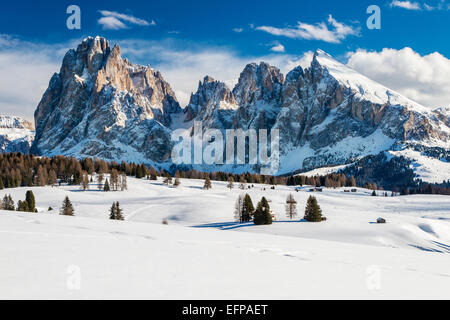 Landschaftlich reizvolle Winter Blick auf Seiser Alm Seiser mit Sassolungo Langkofel im Hintergrund, Dolomiten, Alto Adige Südtirol, Italien Stockfoto