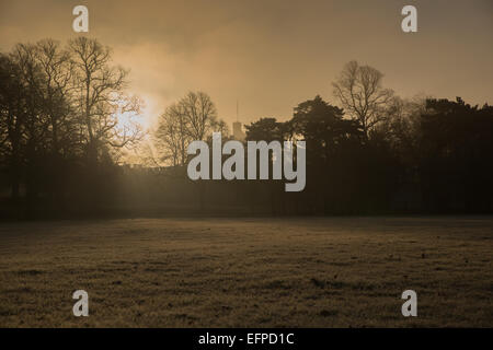 Cardiff, Wales, UK. 9. Februar 2015. UK-Wetter: Cardiff erwachte zum schweren Frost als eine kalten klare Nacht Nebel heute Morgen wich. Bildnachweis: Chris Stevenson/Alamy Live-Nachrichten Stockfoto