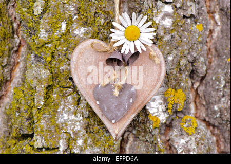 Herz auf Baumrinde Stockfoto