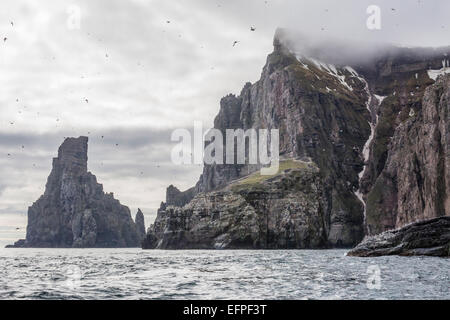 Steile Klippen voller Brutvögel auf der Südseite von Bjornoya (Bäreninsel), Spitzbergen, Norwegen, Skandinavien, Europa