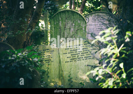 Grabsteine, Gedränge im Unterholz, Weg von den Hauptweg Highgate Cemetery West, London, England, Vereinigtes Königreich Stockfoto