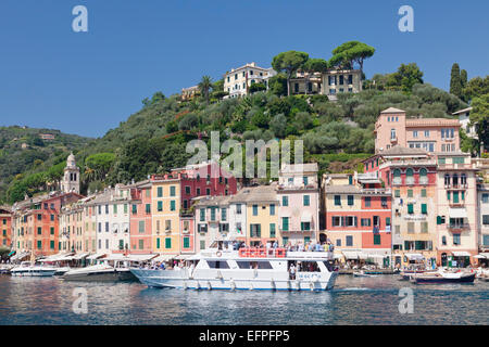 Ausflugsschiff im Hafen von Portofino, Riviera di Levante, Provinz Genua, Ligurien, Italien, Europa Stockfoto