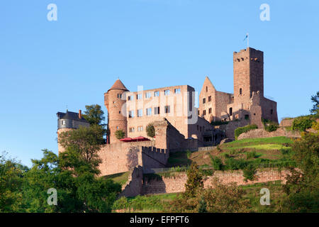 Burg Wertheim, Wertheim, Main Tauber Kreis, Baden-Wurttemberg, Deutschland, Europa Stockfoto