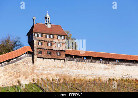 Schloss mit Weinbergen im Herbst, Esslingen, Baden-Württemberg, Deutschland, Europa Stockfoto