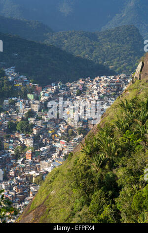 Blick auf Rocinha Favela und der Wald von Tijuca National Park, Rio De Janeiro, Brasilien, Südamerika Stockfoto