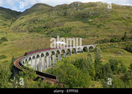 Der Jacobite Dampfzug auf der Glenfinnan Viadust auf Fort William in Mallaig Eisenbahn, Highlands, Schottland, Vereinigtes Königreich Stockfoto