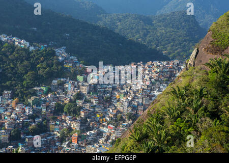 Blick auf Rocinha Favela und der Wald von Tijuca National Park, Rio De Janeiro, Brasilien, Südamerika Stockfoto