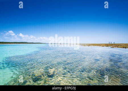 Patacho Strand, Sao Miguel Dos Milagres, Alagoas, Brasilien, Südamerika Stockfoto
