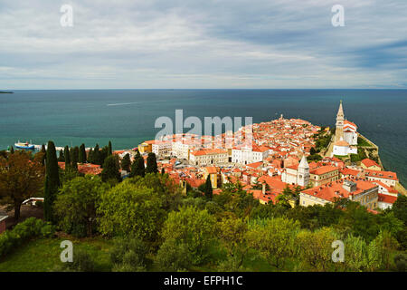 Piran, Bucht von Piran, Adria, Slowenien, Europa Stockfoto