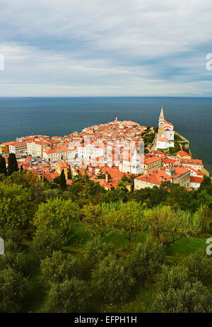 Piran, Bucht von Piran, Adria, Slowenien, Europa Stockfoto