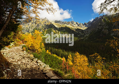 Fußweg in Strbske Pleso Bereich, hohe Tatra (Vysoke Tatry), Slowakei, Europa Stockfoto