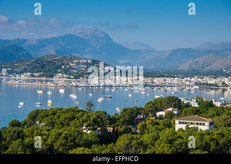 Blick über die Bucht von Port de Pollenca mit vielen Segelbooten, Mallorca, Balearen, Spanien, Mittelmeer, Europa Stockfoto