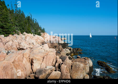 Segelboot bei der felsigen Klippen der Bass Harbor Head Lighthouse, Acadia National Park, Maine, New England, USA Stockfoto