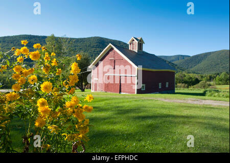 Kleine Farm in den Bergen in Dorset, Vermont, New England, Vereinigte Staaten von Amerika, Nordamerika Stockfoto