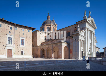 Duomo (Kathedrale), Urbino, UNESCO-Weltkulturerbe, Le Marche, Italien, Europa Stockfoto