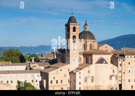 Ansicht des Duomo (Kathedrale), Urbino, UNESCO-Weltkulturerbe, Le Marche, Italien, Europa Stockfoto