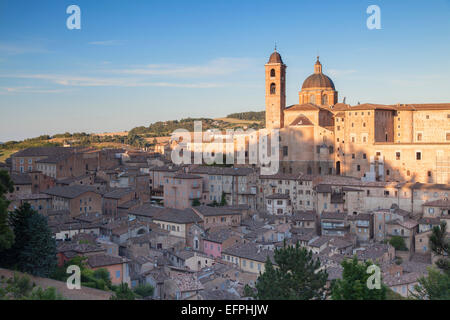 Ansicht des Duomo (Kathedrale), Urbino, UNESCO-Weltkulturerbe, Le Marche, Italien, Europa Stockfoto