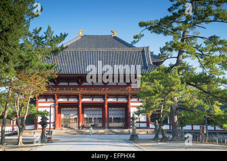 Mann im Todaiji Tempel, UNESCO-Weltkulturerbe, Nara, Kansai, Japan, Asien Stockfoto