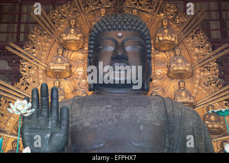 Der Daibutsu (großer Buddha) im Todaiji Tempel, UNESCO-Weltkulturerbe, Nara, Kansai, Japan, Asien Stockfoto