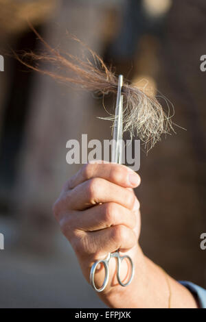 alamy