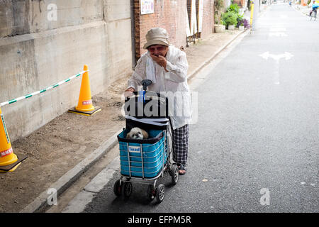 Eine japanische Frau nimmt ihren Hund zu einem "Spaziergang" in einem Wagen. Stockfoto