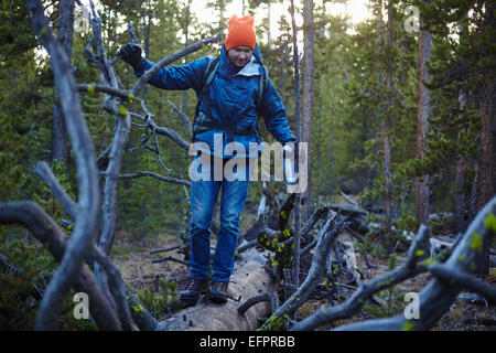 Wanderer zu Fuß auf umgestürzten Baum, Yellowstone-Nationalpark, Wyoming, USA Stockfoto