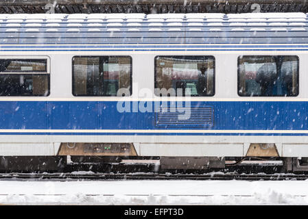 Eis gefroren Zug bei starkem Schneefall Stockfoto