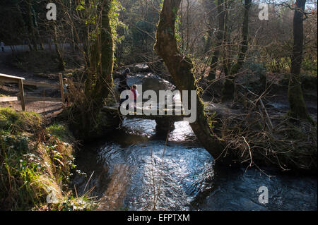 Fuß über die Brücke Granit Cardinham Wald beliebt bei Wanderer, Radfahrer und Wanderer der Hund in der Nähe von Bodmin, North Cornwall. Stockfoto