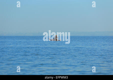 Fischer im Boot, Tana-See, Amhara Region, Äthiopien Stockfoto