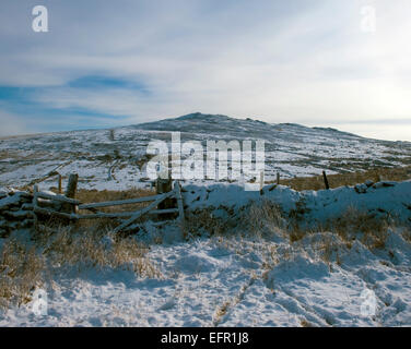 Winter Blick auf Brown Willy im Schnee auf Bodmin moor, North Cornwall. Stockfoto