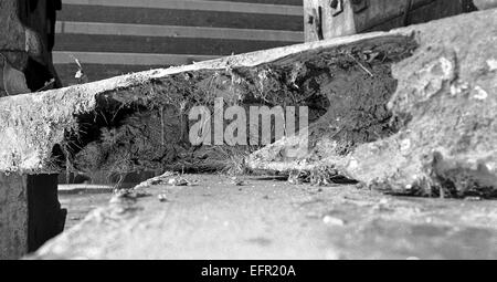 AJAXNETPHOTO. 16. FEBRUAR 1972. SOUTHAMPTON, ENGLAND. -HOLZWAND REFIT - T.S. FOUDROYANT (EX TRINCOMALEE) UNTERZIEHEN REPARATUREN IN NR. 5 TROCKENDOCK. FÄULNIS IN KIEL GEFUNDEN. FOTO: JONATHAN EASTLAND/AJAX REF: 357207 6 1 Stockfoto