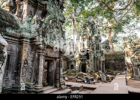 Ruinen der Tempel Ta Prohm, Angkor, Kambodscha. Stockfoto