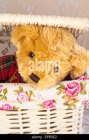 Weiches Kuscheltier Teddybär peeping aus Weidenkorb Stockfoto