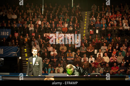 Berlin, Deutschland. 8. Februar 2015. Shaun Murphy (GBR) in Aktion während des Finales der Snooker German Masters 2015 in Berlin, Deutschland, 8. Februar 2015. Foto: Oliver Mehlis/Zb - Nr. WIRE SERVICE - © Dpa/Alamy Live-Nachrichten Stockfoto