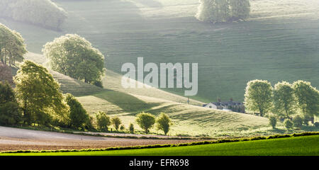Trübe frühen Morgensonne über Ackerland und Hügellandschaft in Wiltshire. Stockfoto