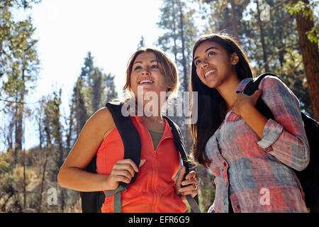 Zwei junge Erwachsene Weibchen Wandern im Wald, Los Angeles, Kalifornien, USA Stockfoto