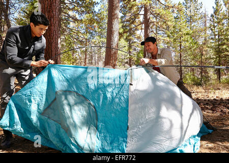 Zwei junge Männer, die das Aufstellen von Zelt im Wald, Los Angeles, Kalifornien, USA Stockfoto