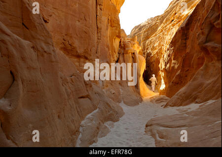 Spektakuläre schmale Wind erodiert Canyon in Süd-Sinai Wüste, Abu Hamata, zwischen Dahab und Nuweiba, Ägypten. Touristische Destination. Stockfoto