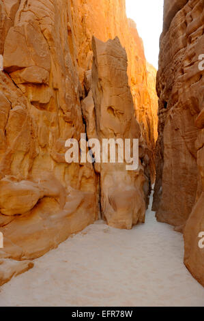 Spektakuläre schmale Wind erodiert Canyon in Süd-Sinai Wüste, Abu Hamata, zwischen Dahab und Nuweiba, Ägypten. Touristische destination Stockfoto