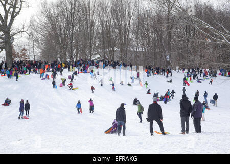 Familien, Rodeln und Menschen nur aus genießen Prospect Park nach einem Schneefall in Park Slope, Brooklyn, NY. Stockfoto