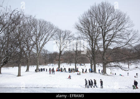 Familien, Rodeln und Menschen nur aus genießen Prospect Park nach einem Schneefall in Park Slope, Brooklyn, NY. Stockfoto